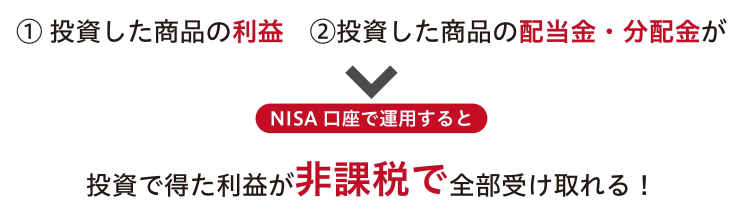 nisaとは